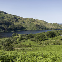 Buy canvas prints of Loch Trool Glentrool Scotland by Derek Beattie