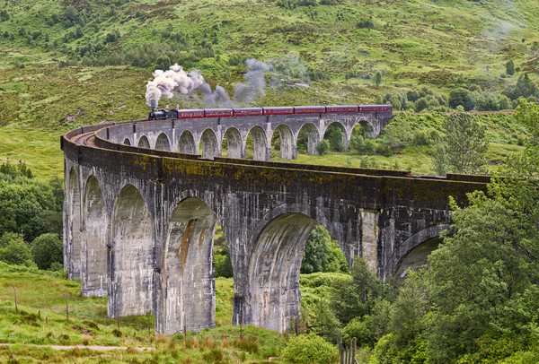 The Jacobite Steam train on the Glenfinnan Viaduct Picture Board by Derek Beattie