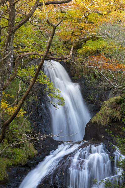 Buchan Falls Glentrool Scotland Picture Board by Derek Beattie