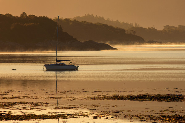Yacht at sunrise on Loch Sunart Picture Board by Derek Beattie