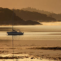 Buy canvas prints of Yacht at sunrise on Loch Sunart by Derek Beattie