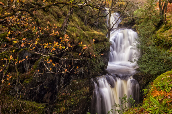 Buchan Falls Glentrool Scotland Picture Board by Derek Beattie