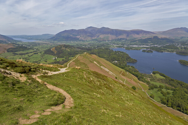 Skiddaw and Keswick From Cat Bells Picture Board by Derek Beattie