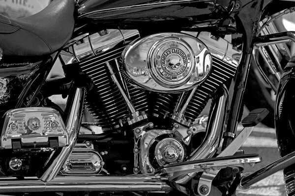 Harley Davidson Fat Boy Motorbike Picture Board by Derek Beattie