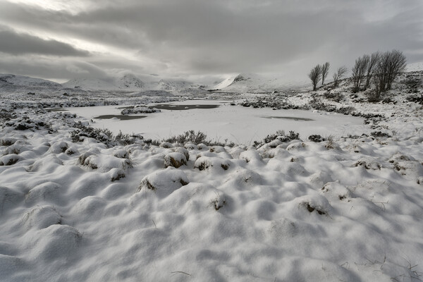  Frozen Loch on Rannoch Moor in Winter Picture Board by Derek Beattie