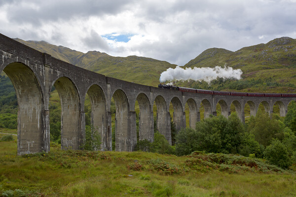 Glenfinnan Viaduct and the Jacobite Steam Train Picture Board by Derek Beattie