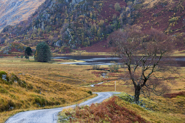 Glen Quoich in Autumn Picture Board by Derek Beattie