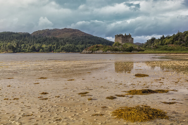 Castle Tioram Scotland Picture Board by Derek Beattie