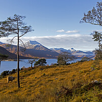 Buy canvas prints of Loch Quoich and the Knoydart Mountans by Derek Beattie