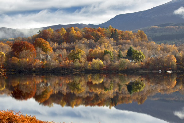 Autumn Reflections on Loch Garry Picture Board by Derek Beattie