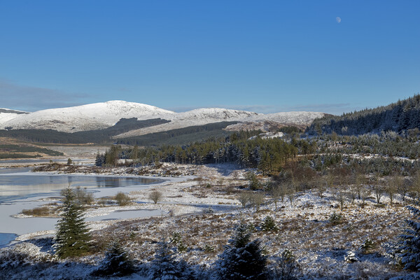 Scottish Winter Landscape Picture Board by Derek Beattie