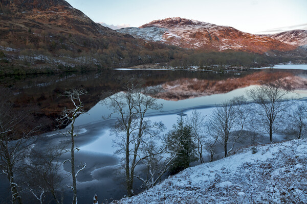 Loch Trool Winter Reflections Picture Board by Derek Beattie