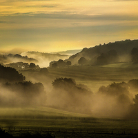 Buy canvas prints of Early Morning in the Ardennes by Steven Else ARPS