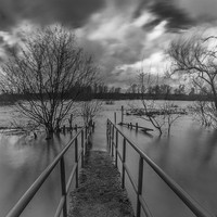Buy canvas prints of Flooded field by Steven Else ARPS