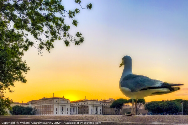 Seagull's Gaze: Sunset over Rome City Skyline Picture Board by William AttardMcCarthy