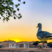 Buy canvas prints of Seagull's Gaze: Sunset over Rome City Skyline by William AttardMcCarthy