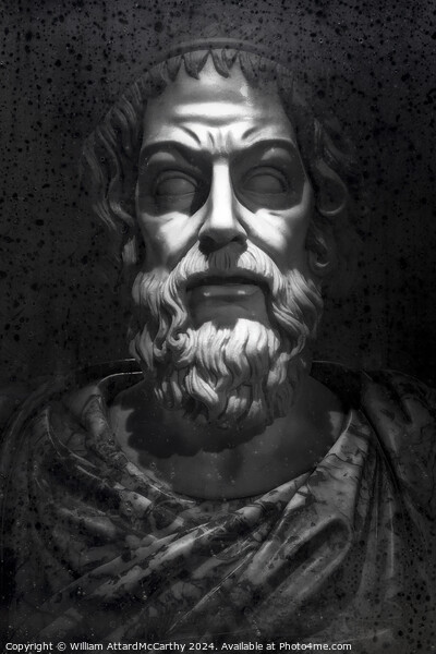 Majesty in Monochrome: Emperor Marcus Aurelius Picture Board by William AttardMcCarthy