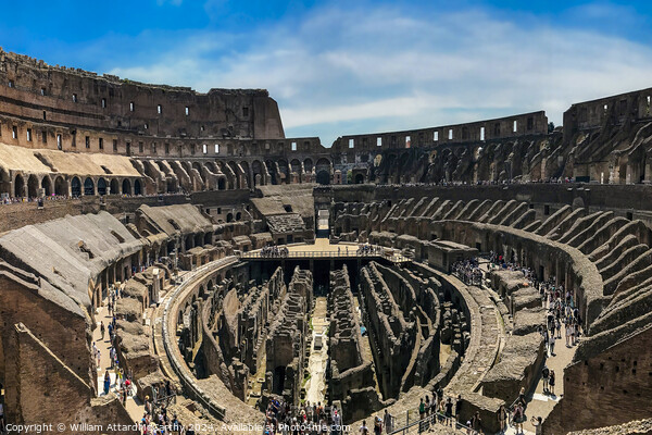 Colosseum Grandeur: Interior Wide Angle View Picture Board by William AttardMcCarthy