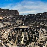 Buy canvas prints of Colosseum Grandeur: Interior Wide Angle View by William AttardMcCarthy