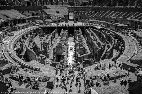 Monochrome Colosseum Exploration Picture Board by William AttardMcCarthy