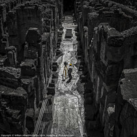 Buy canvas prints of Archaeological Study: LiDAR Survey of Colosseum Interior by William AttardMcCarthy