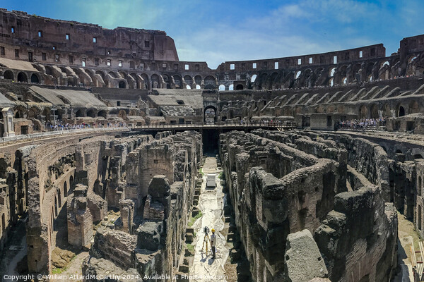 Colosseum Underbelly: Wide Angle Archaeological LiDAR Survey Picture Board by William AttardMcCarthy