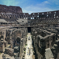 Buy canvas prints of Colosseum Underbelly: Wide Angle Archaeological LiDAR Survey by William AttardMcCarthy