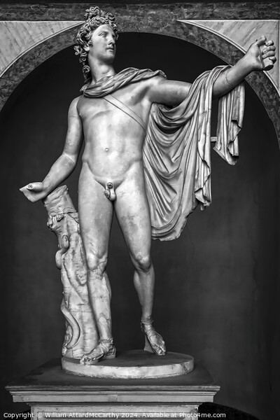 Majestic Apollo Belvedere: Monochrome Roman Sculpture Picture Board by William AttardMcCarthy