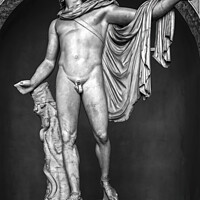 Buy canvas prints of Majestic Apollo Belvedere: Monochrome Roman Sculpture by William AttardMcCarthy