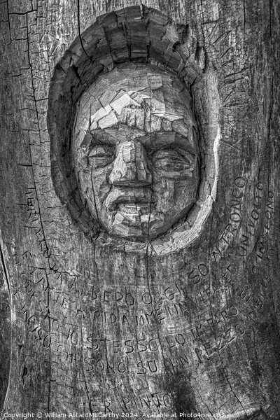 Ancient Echoes: Tree Trunk Art by Andrea Gandini Picture Board by William AttardMcCarthy