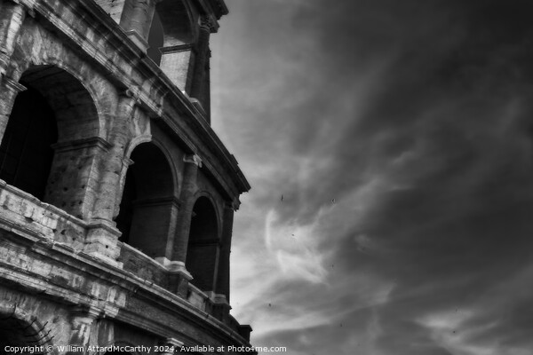 Colosseum Arches: Sky's Embrace Picture Board by William AttardMcCarthy