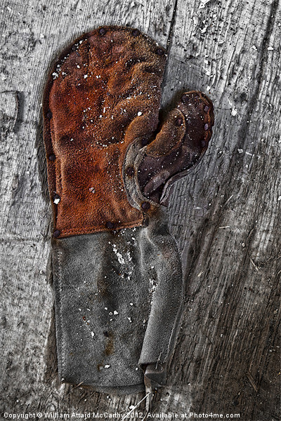The Glove Picture Board by William AttardMcCarthy
