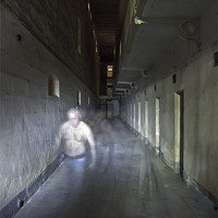 Buy canvas prints of The Inmate by William AttardMcCarthy
