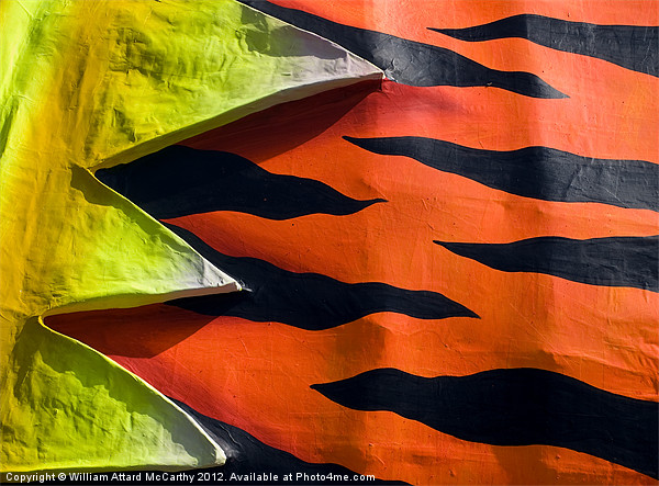 Tiger Stripes Picture Board by William AttardMcCarthy