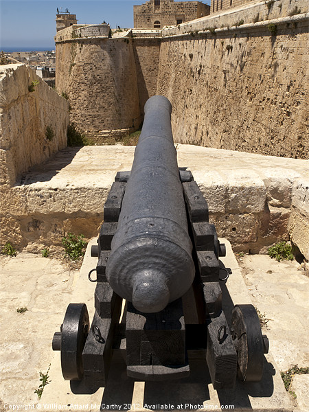 Citadel Cannon Picture Board by William AttardMcCarthy