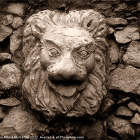 Buy canvas prints of Lionface by William AttardMcCarthy