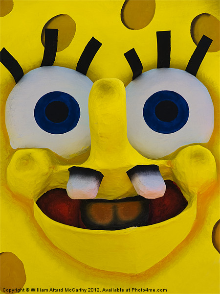 Spongey Picture Board by William AttardMcCarthy