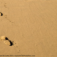Buy canvas prints of Sand Footsteps by William AttardMcCarthy