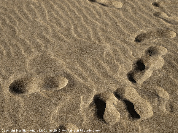 Footsteps in the Sand Picture Board by William AttardMcCarthy