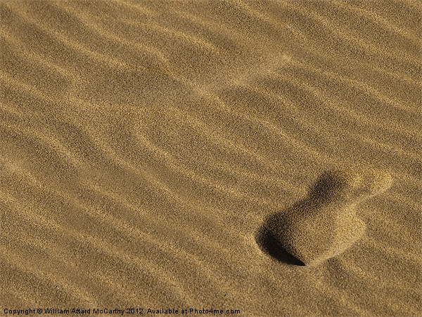 Footstep in the Sand Picture Board by William AttardMcCarthy