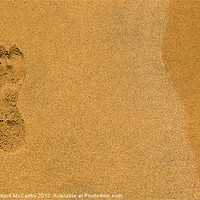 Buy canvas prints of Sandprint by William AttardMcCarthy