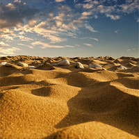 Buy canvas prints of Sands of Kherka by William AttardMcCarthy