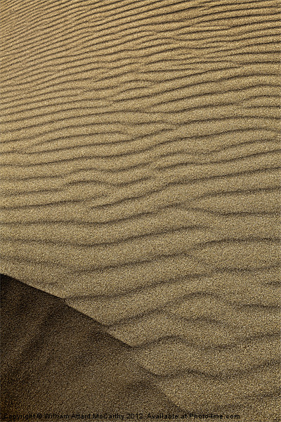 Dune Picture Board by William AttardMcCarthy