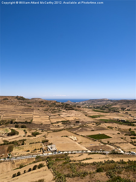 Gozo Landscape Picture Board by William AttardMcCarthy