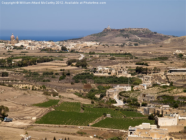 Gozo Countryside Picture Board by William AttardMcCarthy