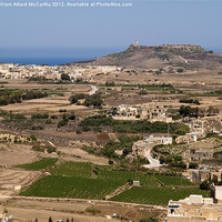 Buy canvas prints of Gozo Countryside by William AttardMcCarthy