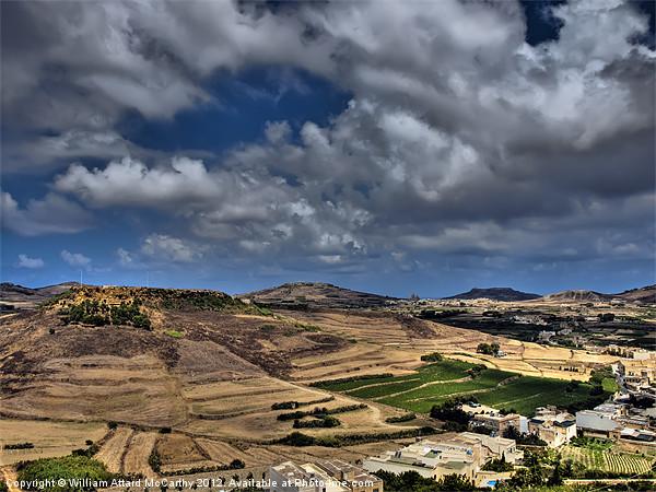 Hills of Gozo Picture Board by William AttardMcCarthy