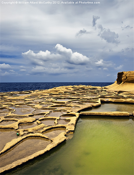 Gozo Salt Pans Picture Board by William AttardMcCarthy
