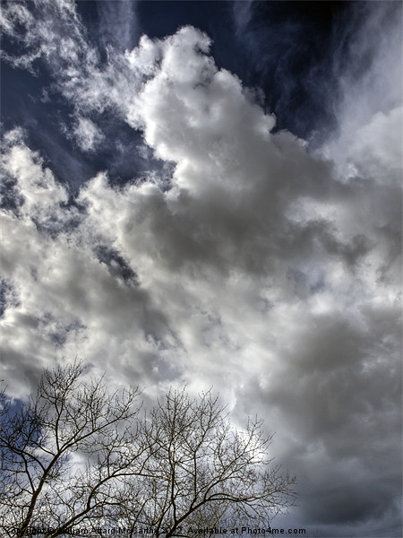 Clouds and Tree Picture Board by William AttardMcCarthy