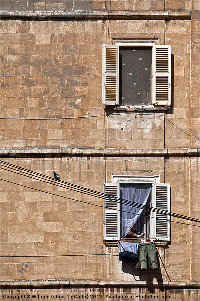 Urban Life in Valletta Picture Board by William AttardMcCarthy